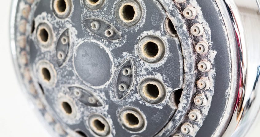 How to Remove Limescale in Your Kettle?