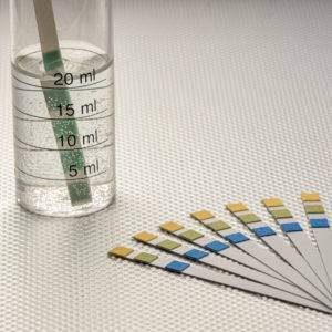 Water Test Strip